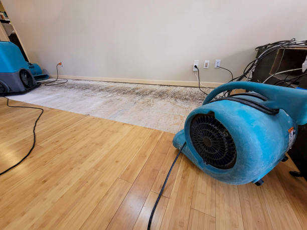 Professional Flood Damage Cleanup technician working in Islandia, NY